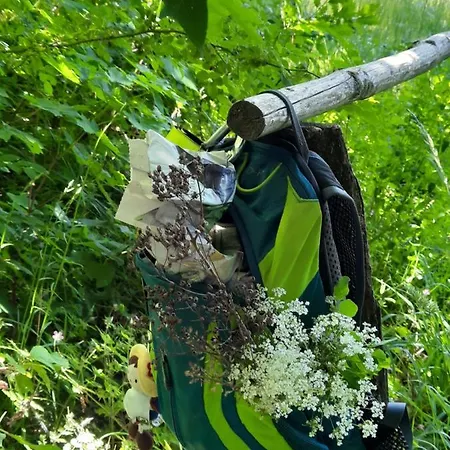 Apartment Urlaub Im Friseursalon Sebnitz